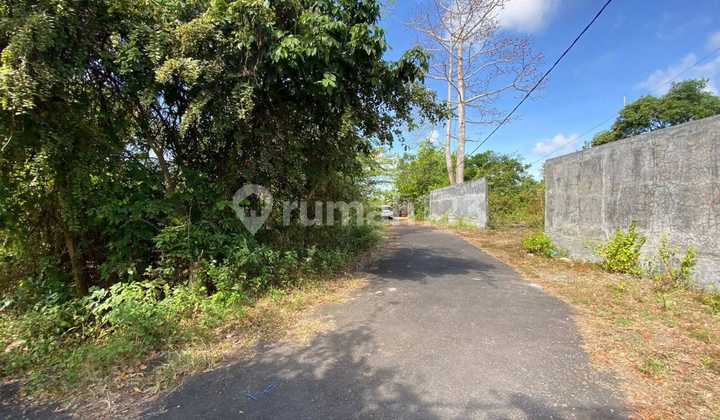 Land 2 Hectares Next to Plagoo Hotel Benoa
