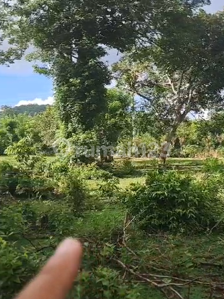 Land 1660M2 Balangan Beach Jimbaran Land 1660M2 Balangan Beach Jimbaran