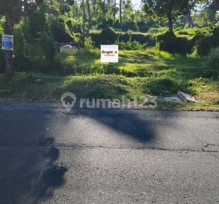 6 Are West Facing Land in Rangdu, Seririt, Buleleng, Bali 6 Are West Facing Land in Rangdu, Seririt, Buleleng, Bali