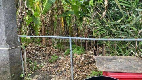 Jual Tanah Zona Kuning Area Pengending Badung Bali 1230m2 1