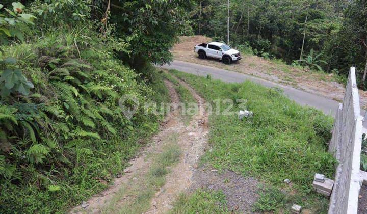 Investasi Tanah 87 Are Apuan Baturiti Tabanan View Sawah Dekat Jatiluwih Investasi Tanah 87 Are Apuan Baturiti Tabanan View Sawah Dekat Jatiluwih