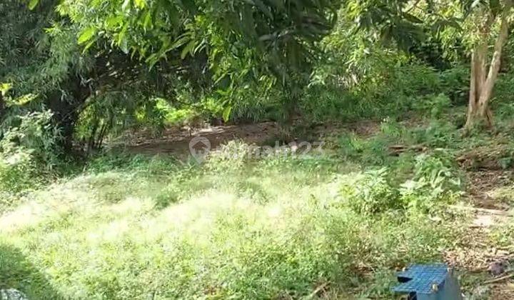 Peluang Investasi Tanah 6 Are Area Perumahan Raya Mandiri Taman Griya Jimbaran Badung 2