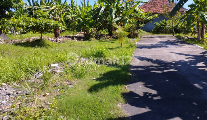 Disewakan Tanah 7,5 Are Bypass Ngurah Rai Benoa Untuk Gudang Toko 2