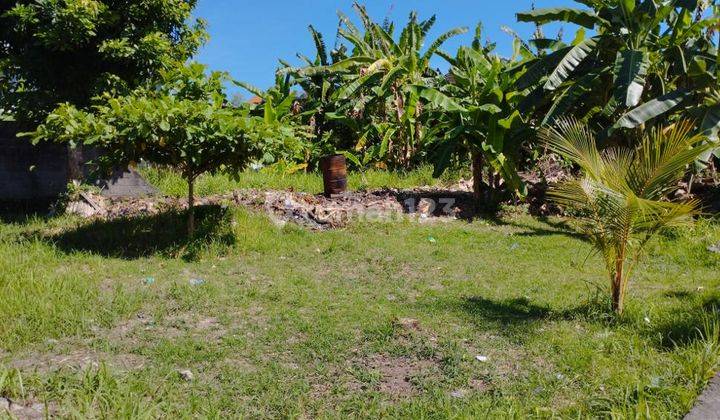 Disewakan Tanah 7,5 Are Bypass Ngurah Rai Benoa Untuk Gudang Toko 3