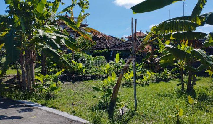 Disewakan Tanah 7,5 Are Bypass Ngurah Rai Benoa Untuk Gudang Toko 5