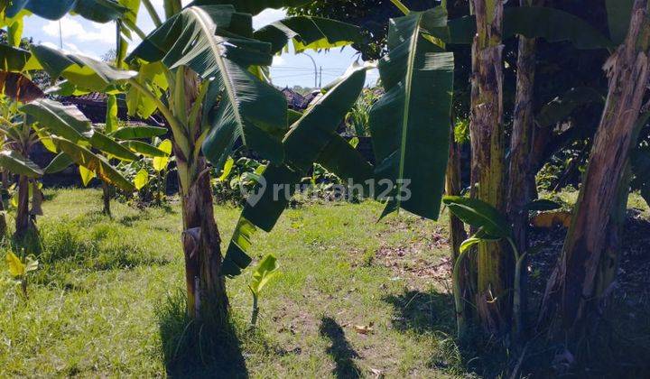 Disewakan Tanah 7,5 Are Bypass Ngurah Rai Benoa Untuk Gudang Toko 4