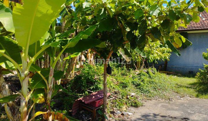 Disewakan Tanah 7,5 Are Bypass Ngurah Rai Benoa Untuk Gudang Toko 7