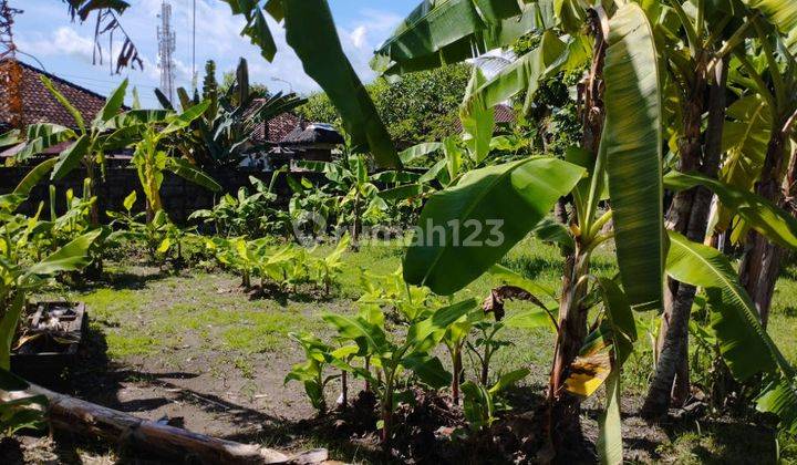 Disewakan Tanah 7,5 Are Bypass Ngurah Rai Benoa Untuk Gudang Toko 10