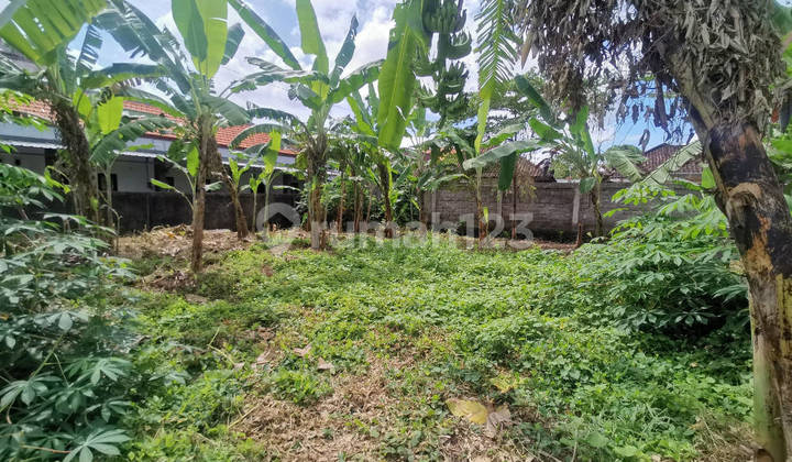 Dijual Tanah Murah Sanur Dekat Renon Denpasar Bali 1