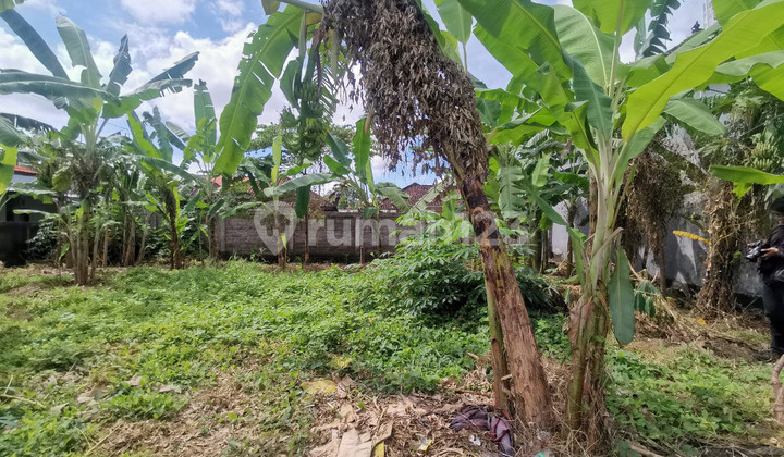 Dijual Tanah Murah Sanur Dekat Renon Denpasar Bali 3