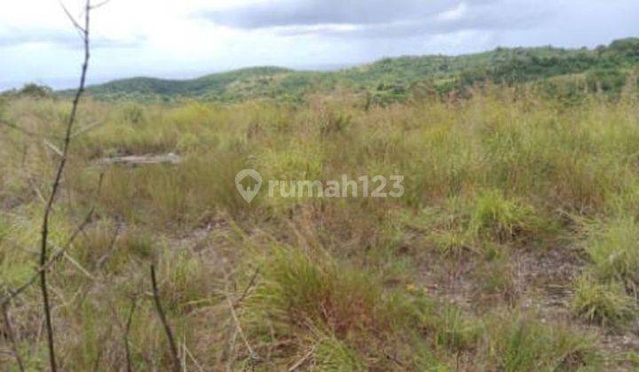 Jual Tanah Sekartaji Nusa Penida Klungkung Cocok Untuk Investasi 6