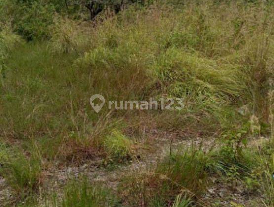 Jual Tanah Sekartaji Nusa Penida Klungkung Cocok Untuk Investasi 7