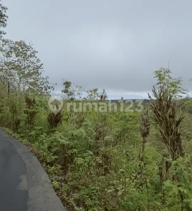 Tanah 550 Are Ped Sental Kangin Nusa Penida Dekat Pelabuhan Buyuk 5