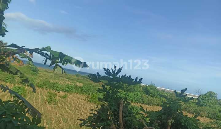 Jual Tanah 10 Are Padang Galak Dekat Pantai Sanur Pelabuhan Sanur 5