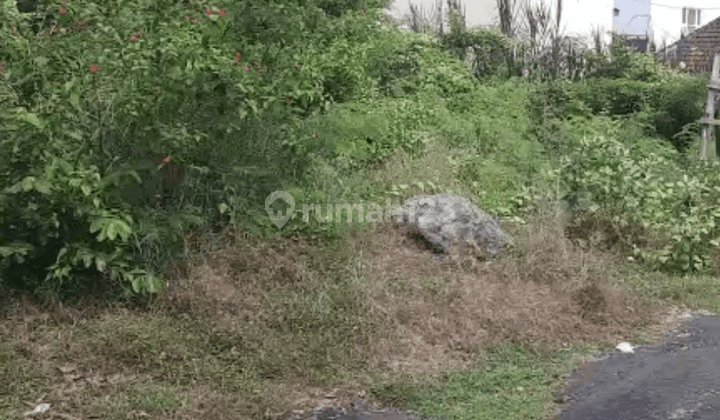 Buc Jual Tanah 165m2 Ungasan Dekat Kutuh Pantai Pandawa 1