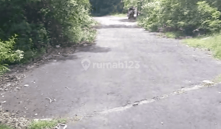 Buc Jual Tanah 165m2 Ungasan Dekat Kutuh Pantai Pandawa 2