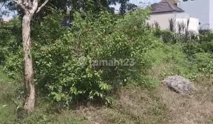 Buc Jual Tanah 165m2 Ungasan Dekat Kutuh Pantai Pandawa 3
