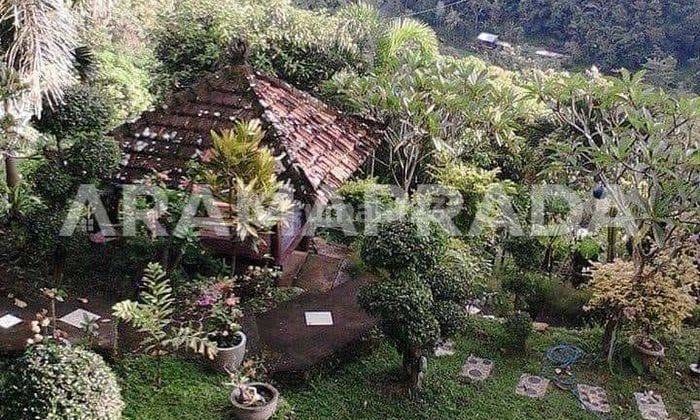 Jual Tanah 26 Are Unggahan Seririt Buleleng 1