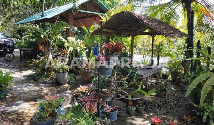 Jual Tanah 26 Are Unggahan Seririt Buleleng 2