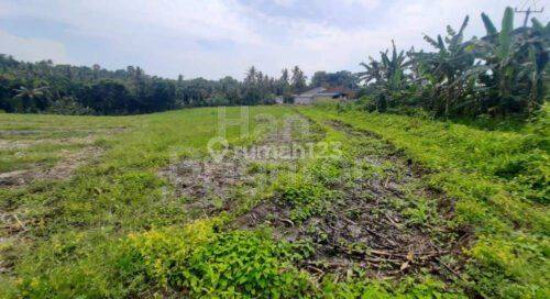 Jual Tanah Murah 32 Are Megati Tabanan 2