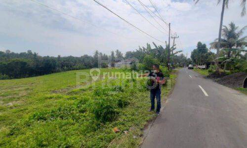 Jual Tanah Murah 32 Are Megati Tabanan 1