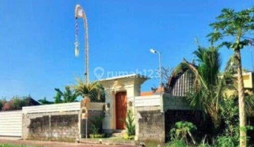 Jual Rumah Style Villa Full Furnished Jineng Angkul Angkul 1 Lantai 2 Kamar Pemaron Munggu 1