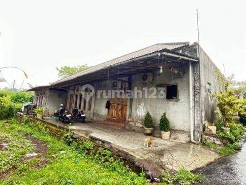 Turun Harga Jual Rumah Hadap Selatan Tenang Nyaman 5 Kamar Penatih Denpasar Timur 1