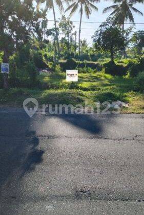 Minimum 5 year lease for 6 are land facing west Rangdu Seririt Buleleng Bali 1