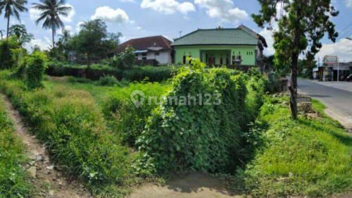 Minimum 5 year lease for 6 are land facing west Rangdu Seririt Buleleng Bali 2