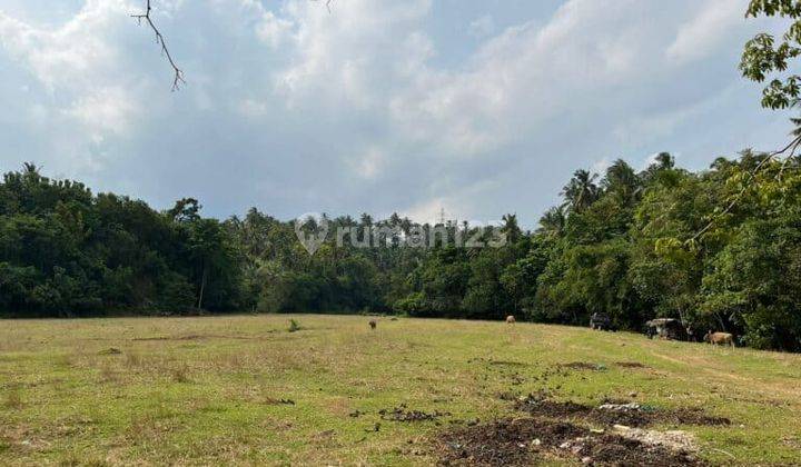 Dijual Tanah 5 Are Lalanglinggah Selemadeg Barat Tabanan 2