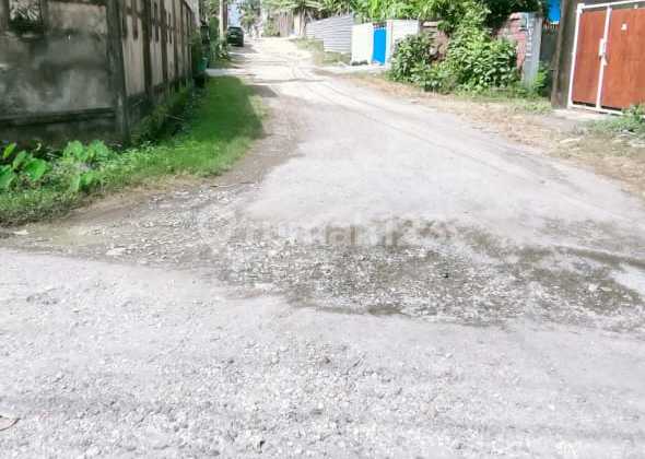 Rumah Siap Huni 5+1 Kamar Jalan Cargo Kenanga Ubung Kaja 2
