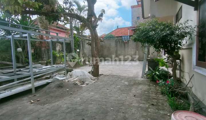 Rumah Siap Huni 5+1 Kamar Jalan Cargo Kenanga Ubung Kaja 2