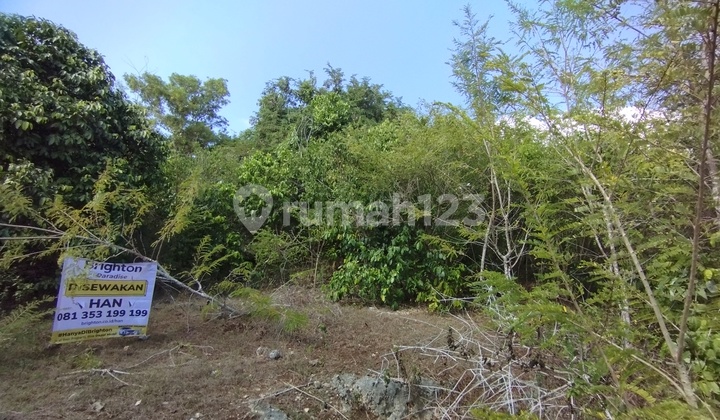 Min 10 Years Land 4 Ares in Ungasan: Min 10 Years Land 4 Ares in Ungasan: