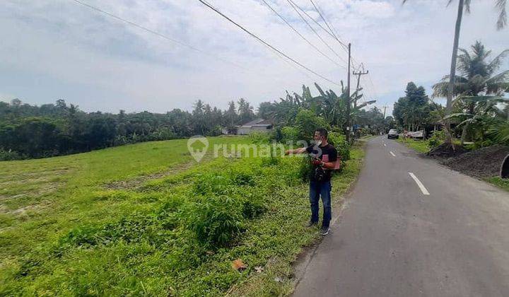 Tanah Murah 32 Are Megati Tabanan 1