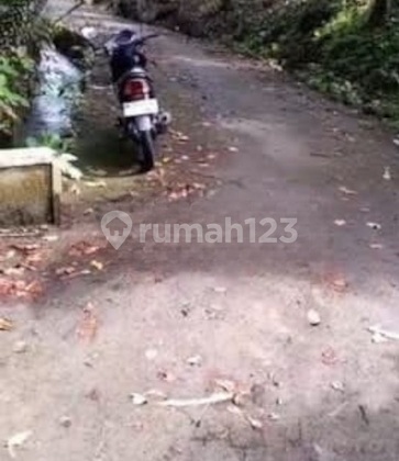 Tanah 10 Hektar Buruan Penebel Tabanan untuk Peternakan Pertanian