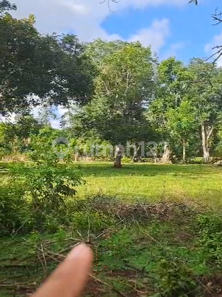 Tanah 1660M2 Pantai Balangan Jimbaran