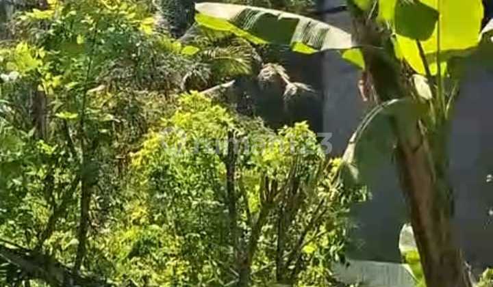 Tanah 862M2 Manggis Karangasem