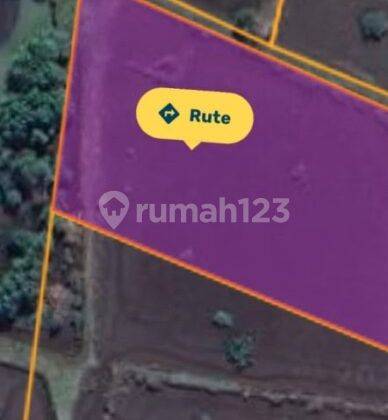 Tanah 5495m2 Subak Loloan Timur Jembrana 2