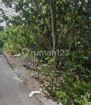 Peluang Investasi Harga Terjangkau Tanah 5750m2 Gubug Sari Kutuh Badung 1