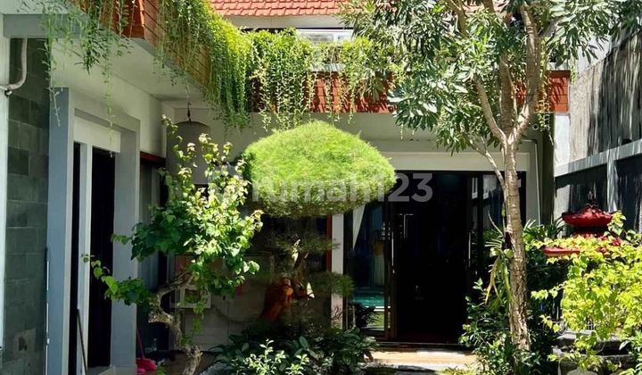 Min 3 Years Luxury Furnished House Ready to Occupy 6 Bedrooms Sesetan