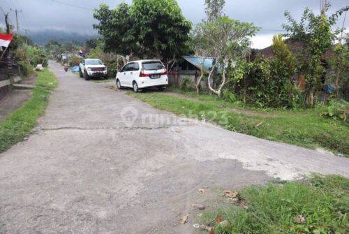 Land for sale 4985m2 Munduk Lumbang Baturiti Tabanan Hotspring River 2