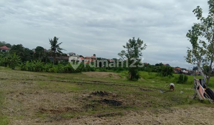 Tanah 24 Are Subak Uma Canggu Tanah 24 Are Subak Uma Canggu