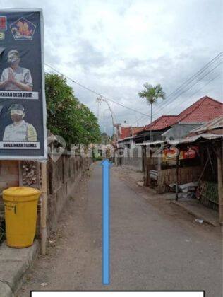 Tanah Kebun Tegal 179 Are Sawan Buleleng 2