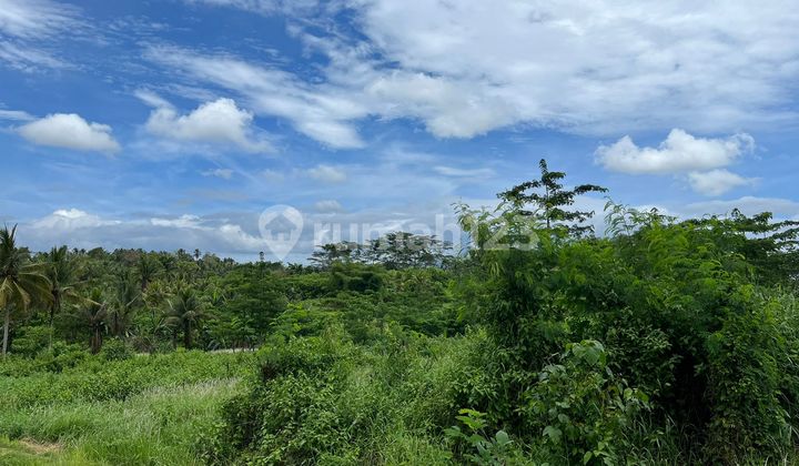 Land 1940m2 Dry Land Batuaji Village Tabanan Land 1940m2 Dry Land Batuaji Village Tabanan