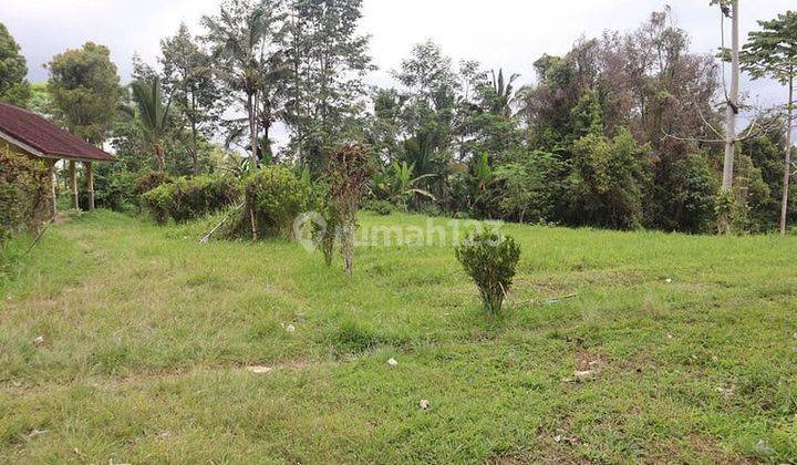 Tanah 87 Are Apuan Baturiti Tabanan View Sawah Dekat Jatiluwih 2