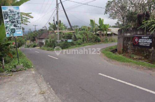 Land for sale 4985m2 Munduk Lumbang Baturiti Tabanan Hotspring River 1