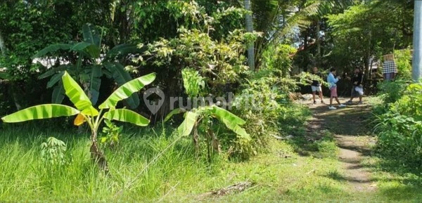 6 Are Karangasem Hill Land