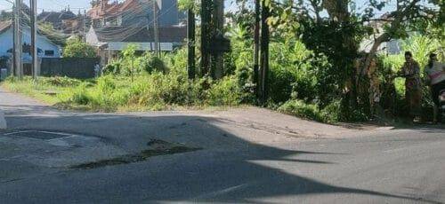 Land for Rent 30 Are Sidakarya South Denpasar 2