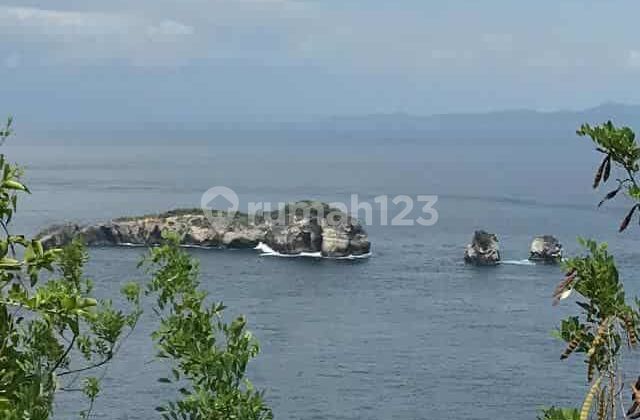 Investasi Tanah 250 Are Dekat Atuh Diamond Beach Nusa Penida Pejukutan Klungkung Investasi Tanah 250 Are Dekat Atuh Diamond Beach Nusa Penida Pejukutan Klungkung