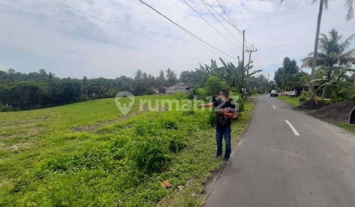 Cheap Land Investment 32 Are Megati Tabanan Cheap Land Investment 32 Are Megati Tabanan